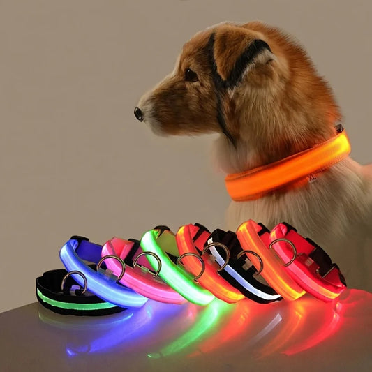 Laisse pour chien à LED GlowSafe