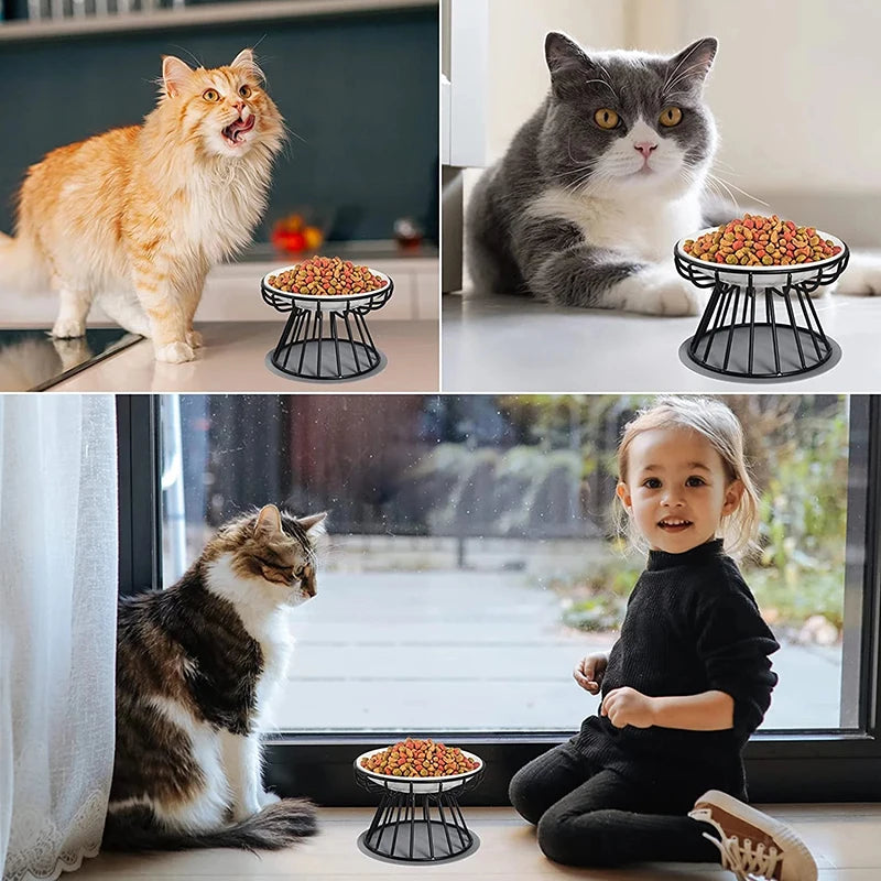 Elevated Ceramic Pet Bowl