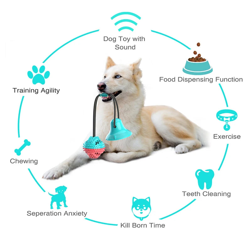 Jouet à mâcher pour chien à alimentation lente qui fuit