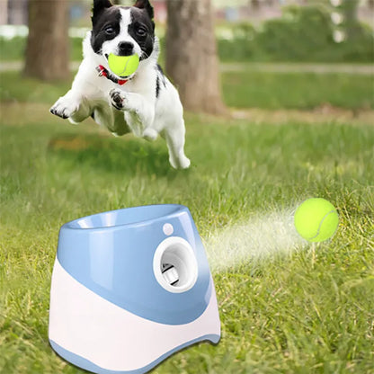 Lanceur automatique de tennis pour chiens