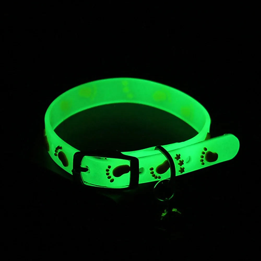 Glow Cat/Dog Collar