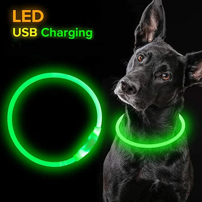 Luminous LED Dog Collar