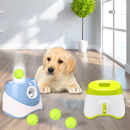 Lanceur automatique de tennis pour chiens