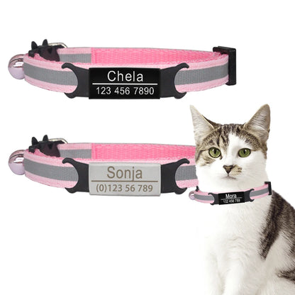 Custom Cat Safety Collar