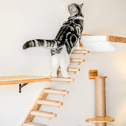 Wall-Mounted Cat Climbing Shelf