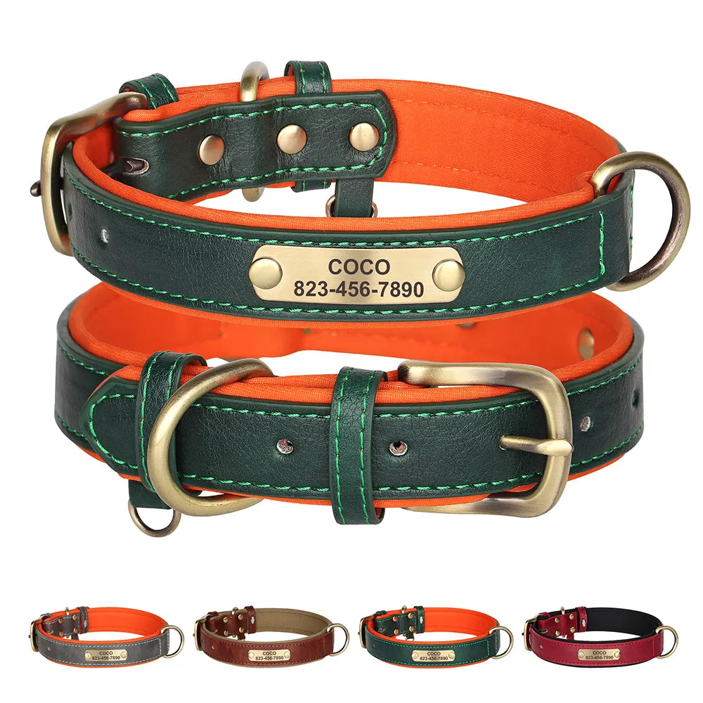 Personalized Leather Dog Collar