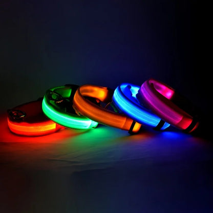 GlowSafe LED Dog Leash