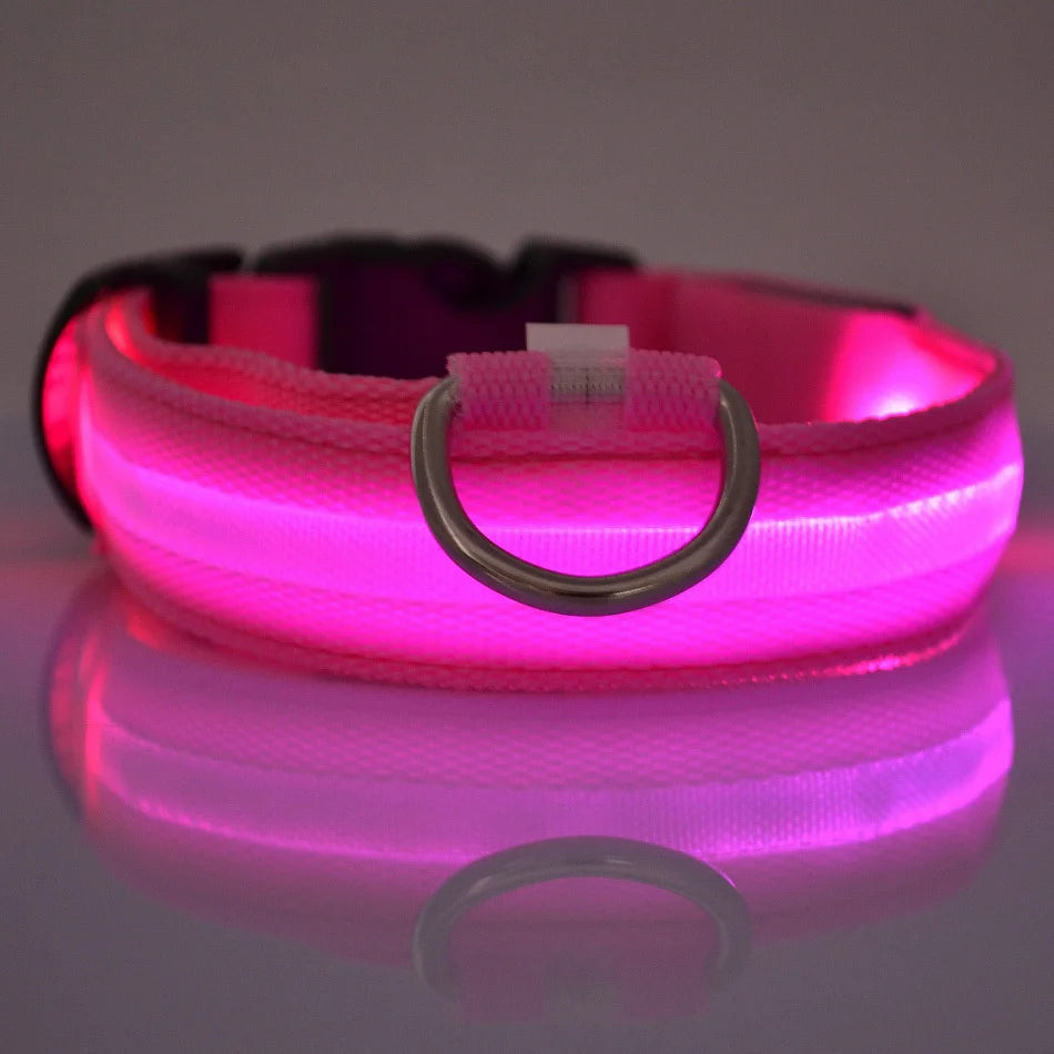 GlowSafe LED Dog Leash