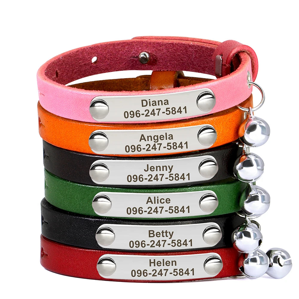 Personalized Custom Cat ID Collar