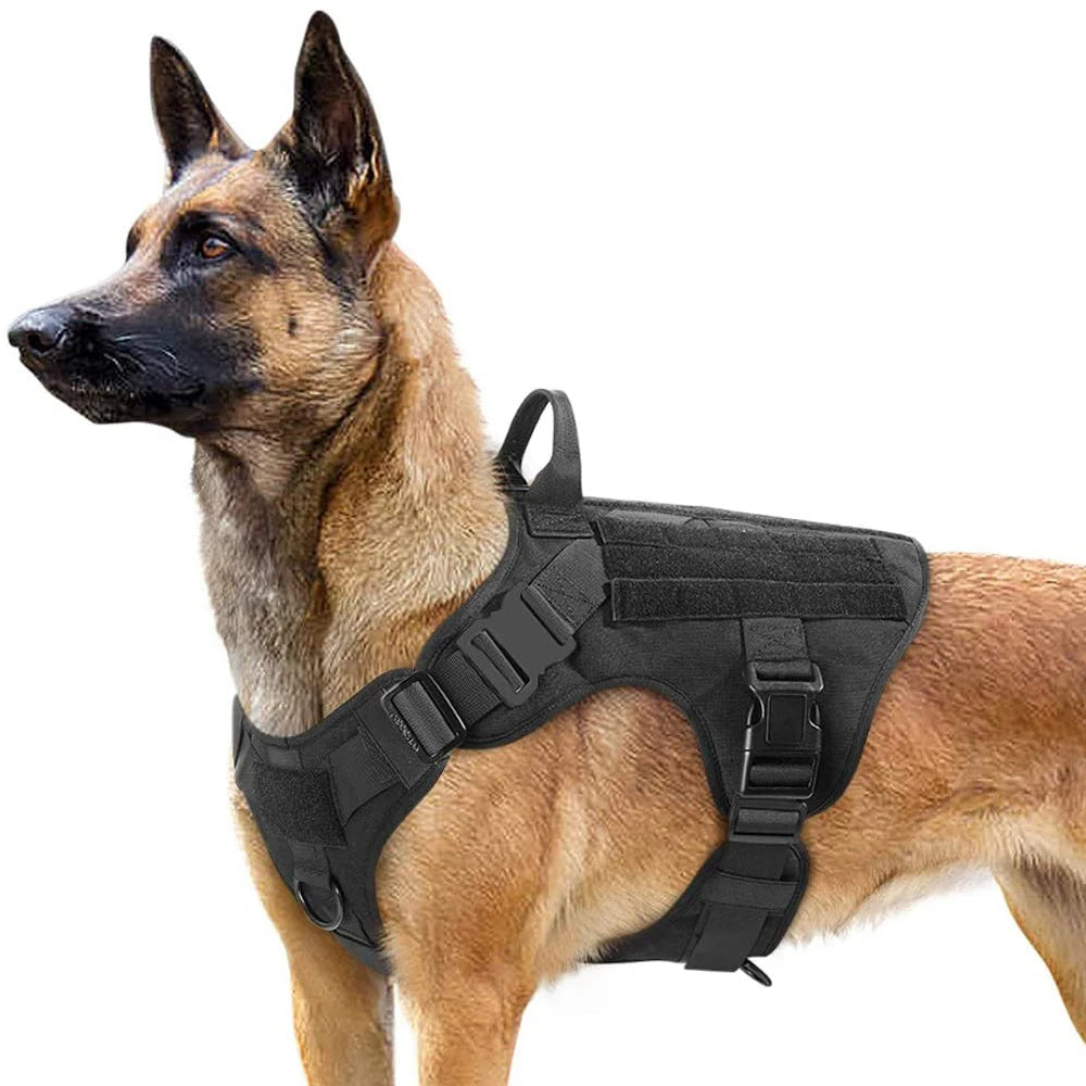 Ensemble harnais, laisse et collier tactique pour chien