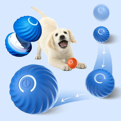 Smart Dog Bouncing Ball Toy