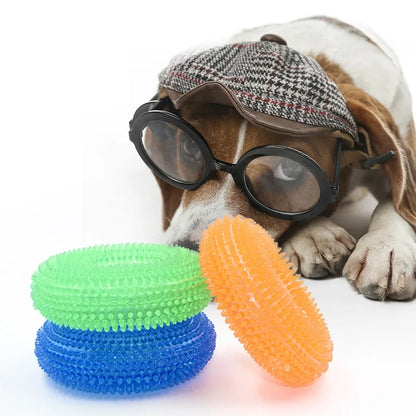 Squeaky Dog Interactive Chew Toy