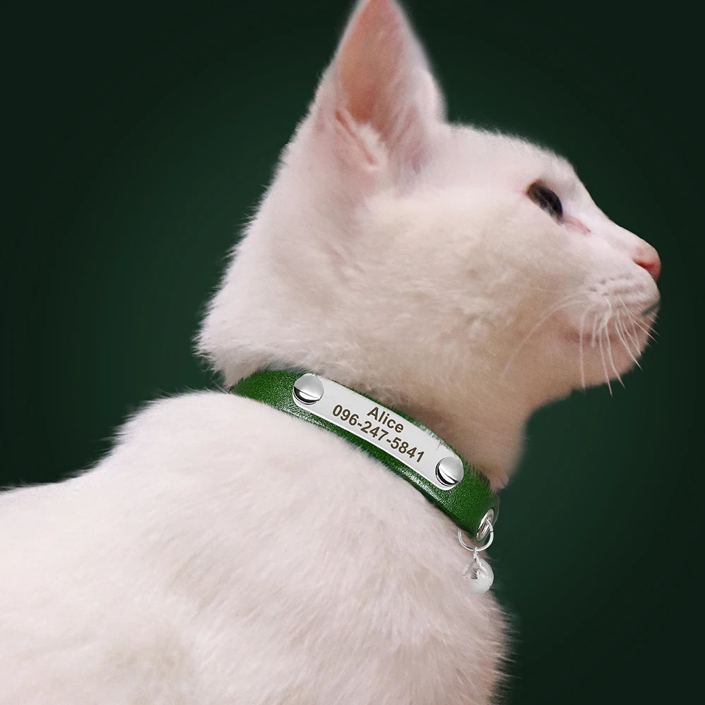 Personalized Custom Cat ID Collar