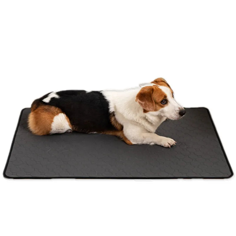 Pet Waterproof Training Pad Urine