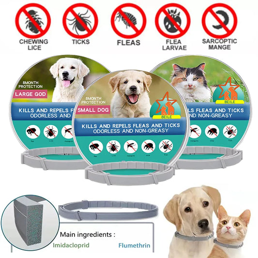 Shield Guard Pet Collar