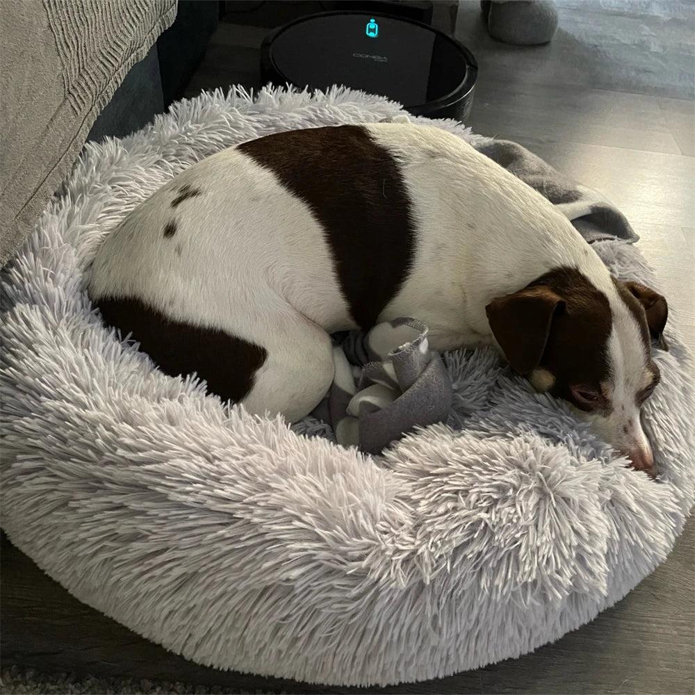 Super Soft Dog Donut Plush Bed