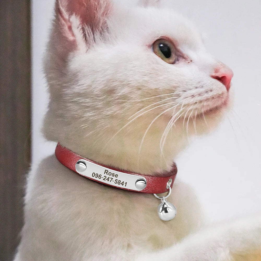 Personalized Custom Cat ID Collar