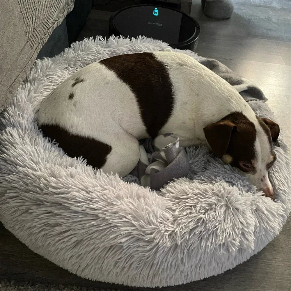 Super Soft Dog Donut Plush Bed