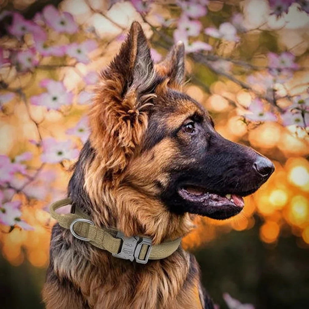 Tactical Military Dog Collar