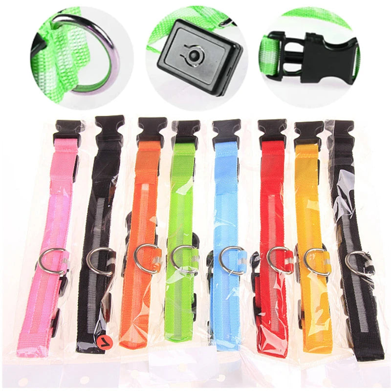 Collier de chien lumineux LED