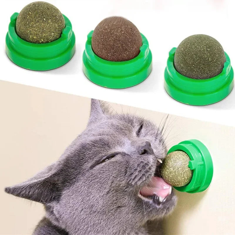 Natural Catnip Wall Ball Toy