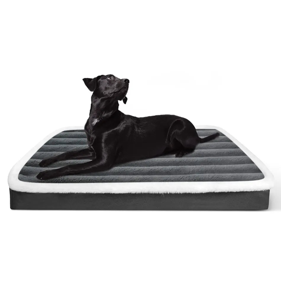 Lit pour chien avec fermeture éclair et matelas amovible