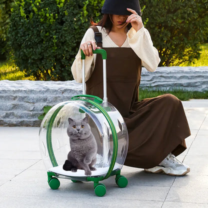 Transparent Pet Trolley Carrier