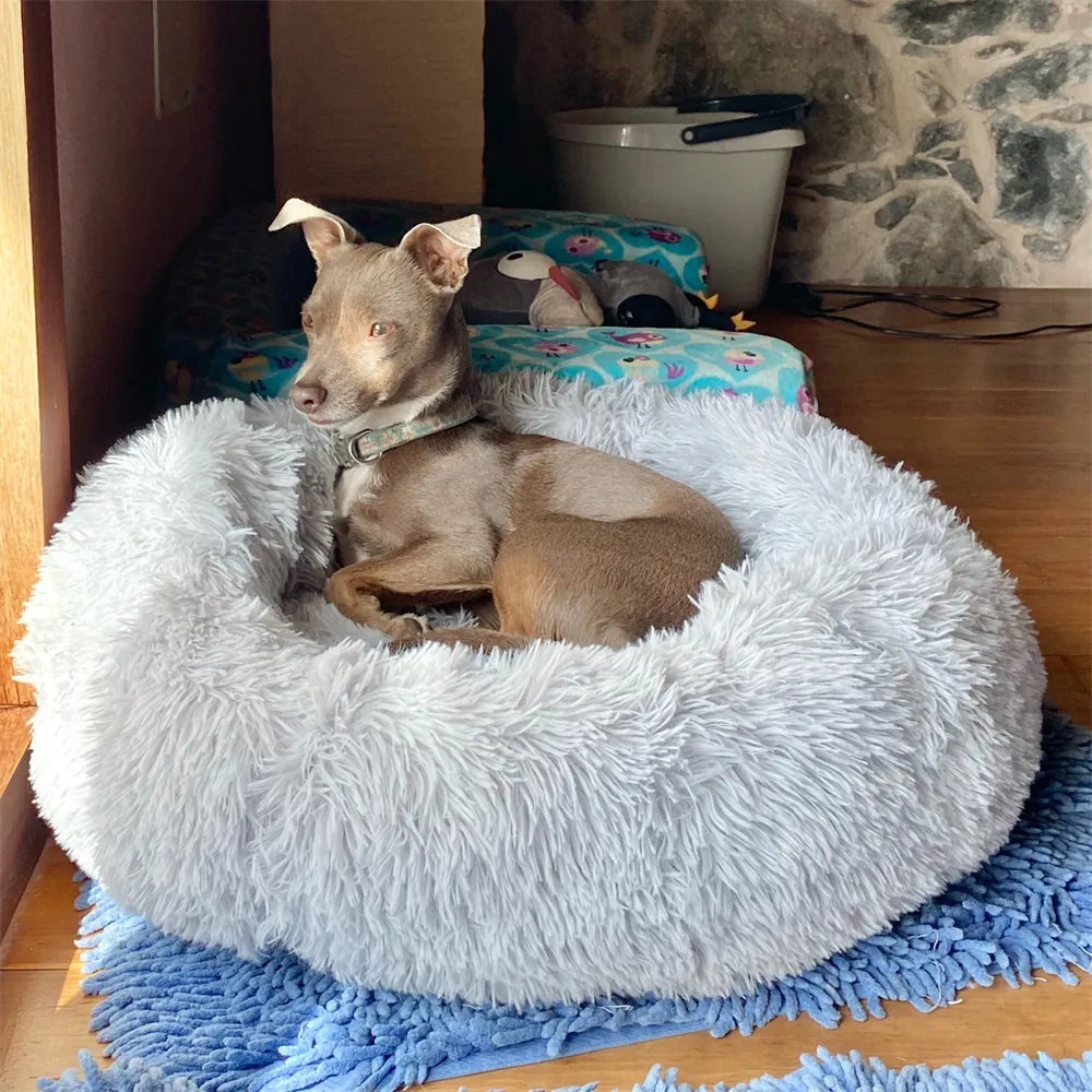 Super Soft Dog Donut Plush Bed