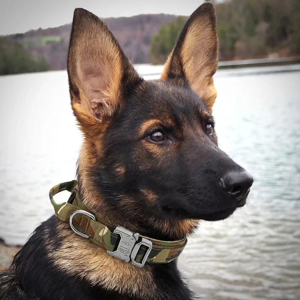 Tactical Military Dog Collar