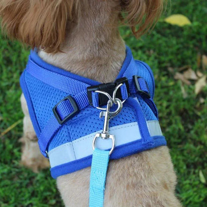 Harnais pour chien avec gilet en maille réglable avec laisse