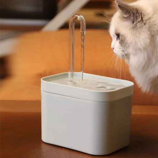 Fontaine d'eau intelligente et silencieuse pour animaux de compagnie