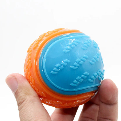 Dog Squeaky Ball Toy