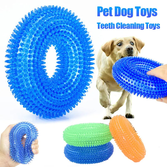 Squeaky Dog Interactive Chew Toy