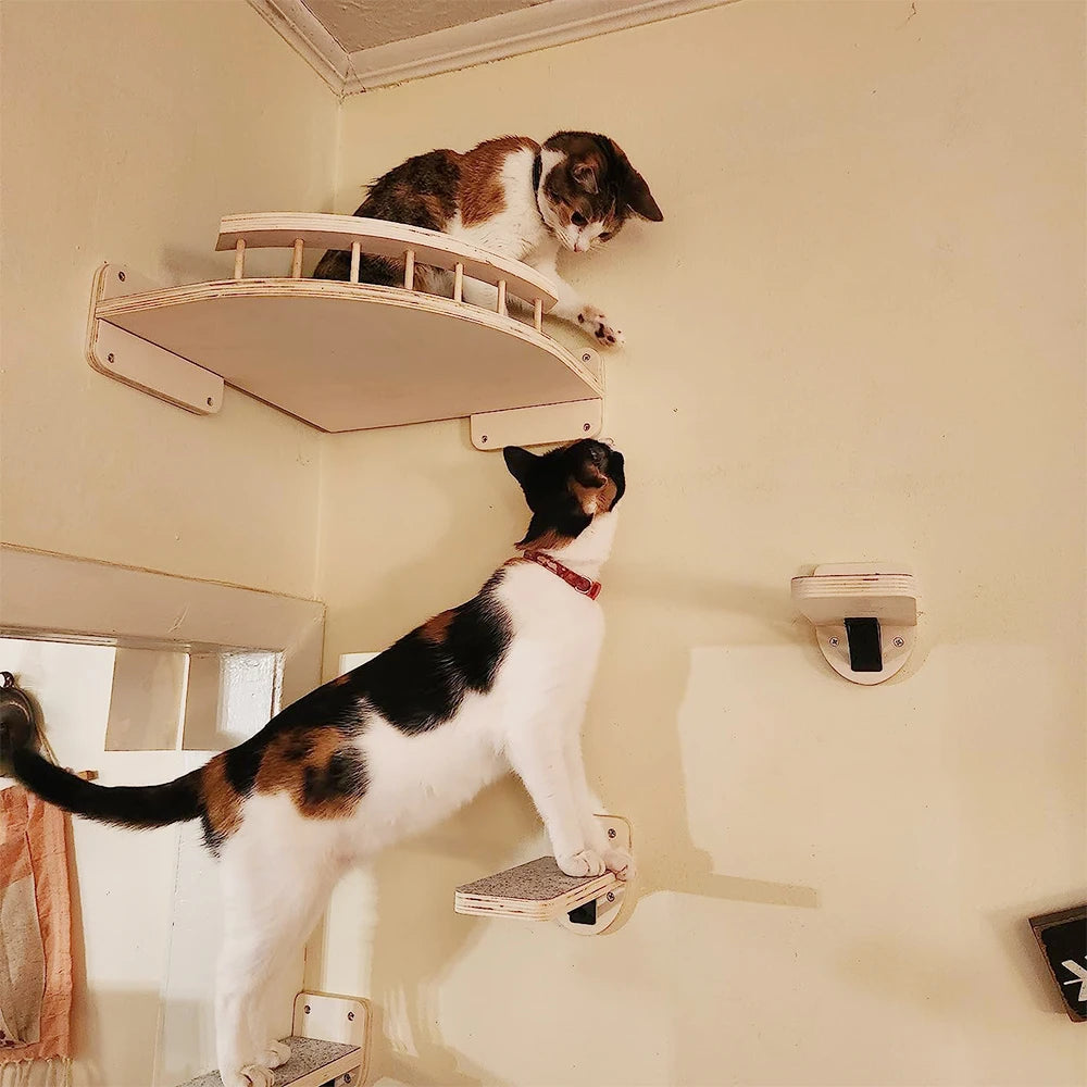 Wall-Mounted Cat Climbing Shelf