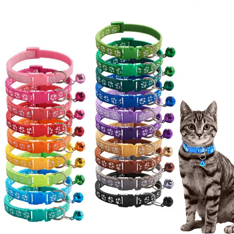 Vibrant Paw Print Cat Collar