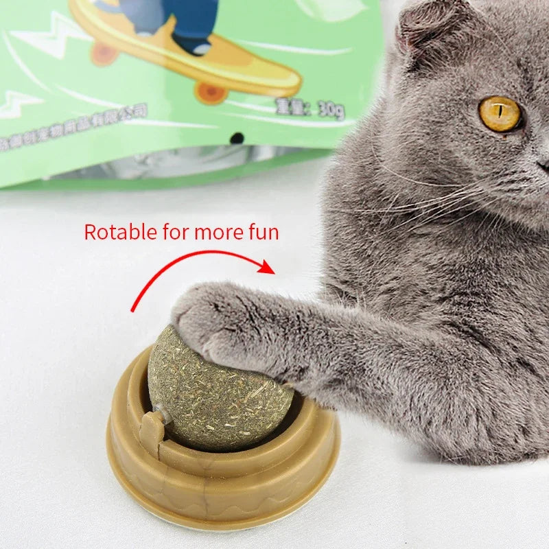 Natural Catnip Wall Ball Toy