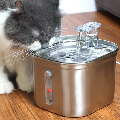 Fontaine pour animaux de compagnie en acier inoxydable