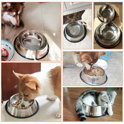 Stainless Steel Pet Bowl