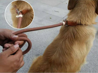 Dog Adjustable Slip Leash