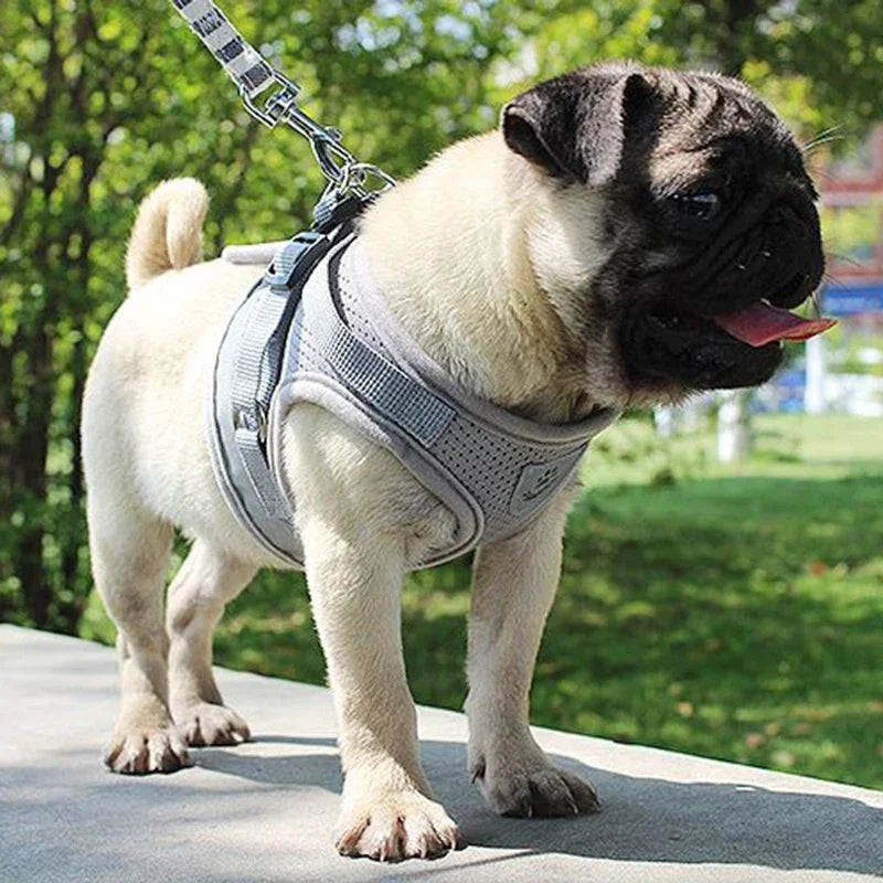 Adjustable Mesh Vest Dog Harness with Leash