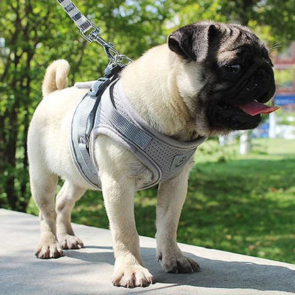 Adjustable Mesh Vest Dog Harness with Leash