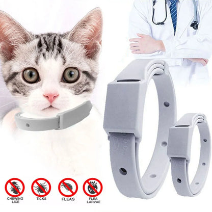 Anti-flea Tick Pet Collar