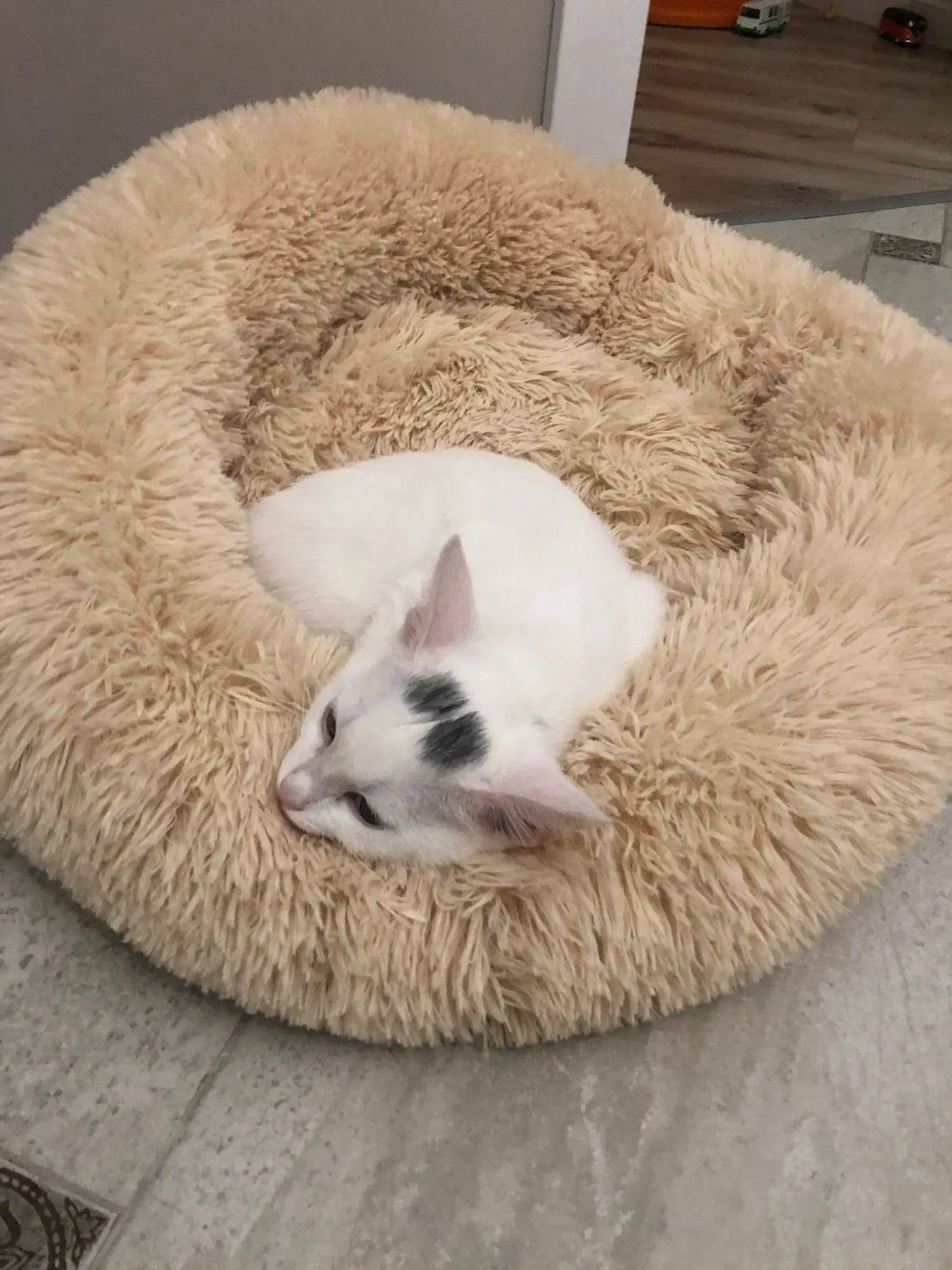 Super Soft Dog Donut Plush Bed