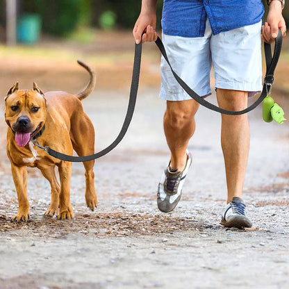 Night Glow Leash