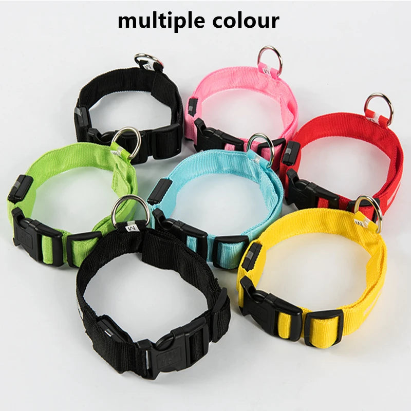 Collier de chien lumineux LED