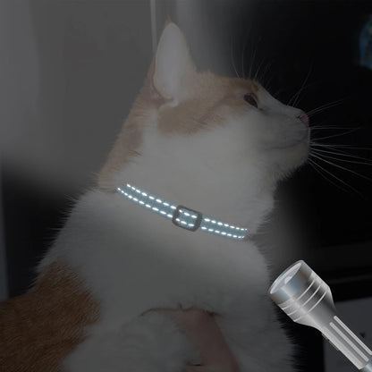 Reflective ID Pet Collar