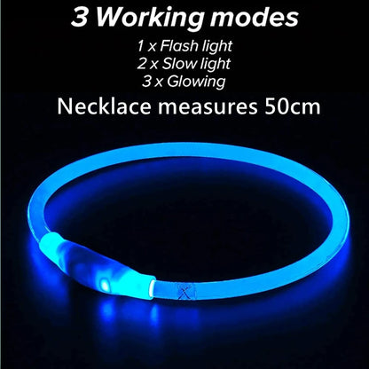 Luminous LED Dog Collar