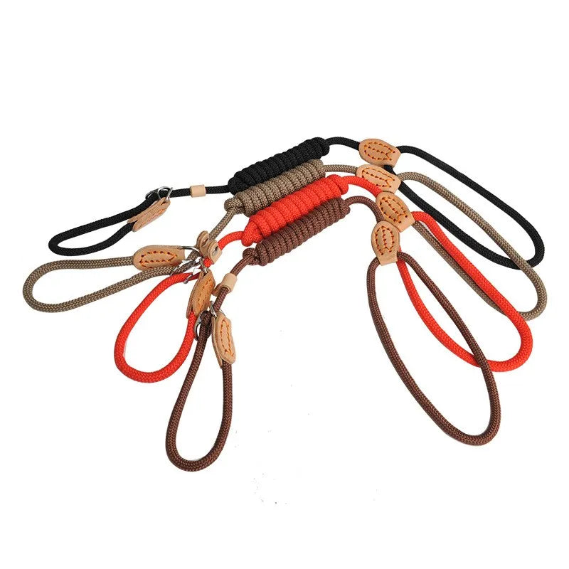 Dog Adjustable Slip Leash