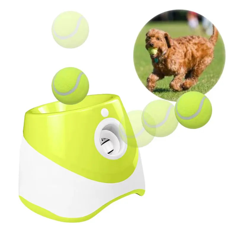 Lanceur automatique de tennis pour chiens