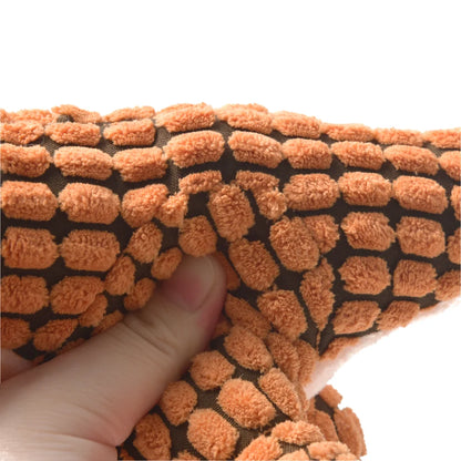 Dinosaur Pet Plush Interactive Chew Toy